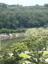 Riverfront Residences (D19), Apartment #506557231